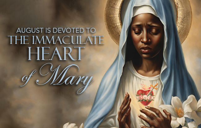 August Immaculate Heart of Mary Website